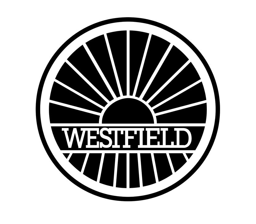 Рулевой амортизатор для WESTFIELD: купить по лучшим ценам