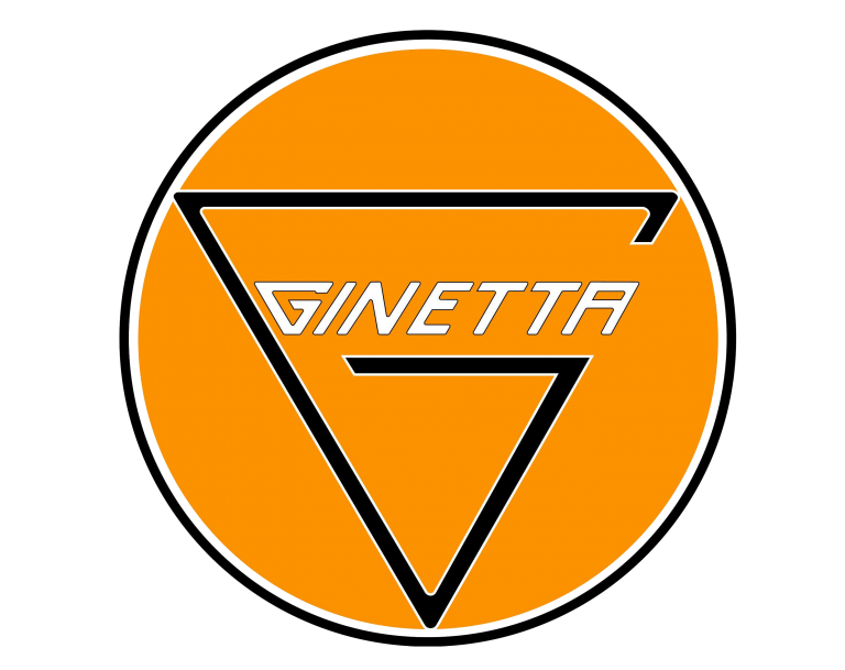 Блок управления для GINETTA: купить по лучшим ценам